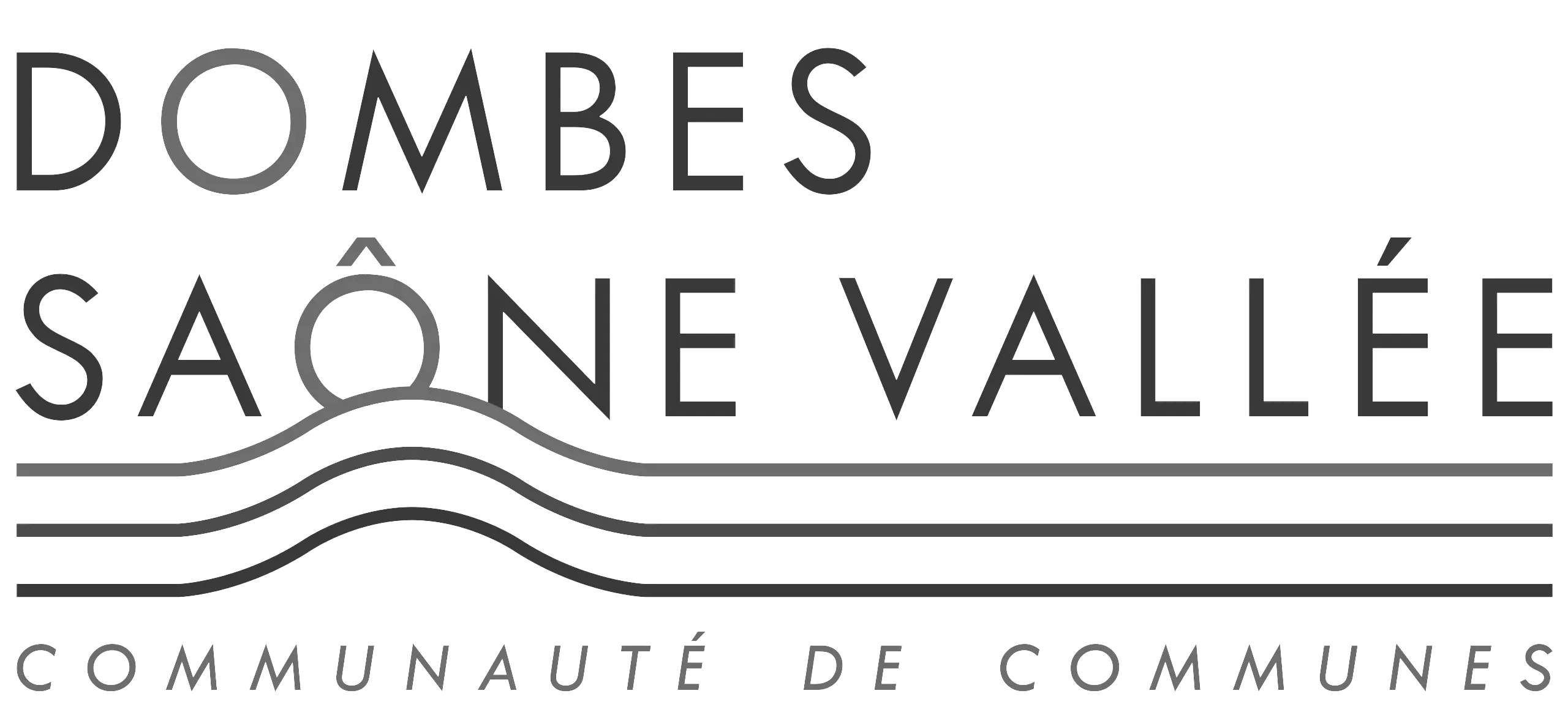 Logo de la communauté de commune de Dombes Saônes Vallée